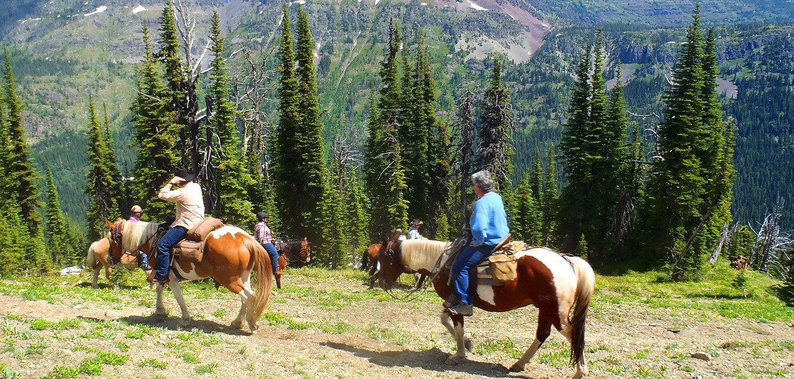 Montana Fishing / Horseback Combo Trips