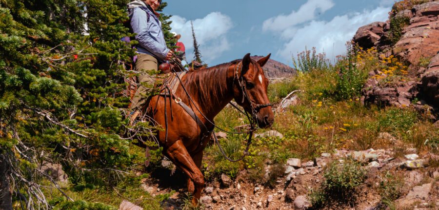 Swan Valley Horseback Trail Rides